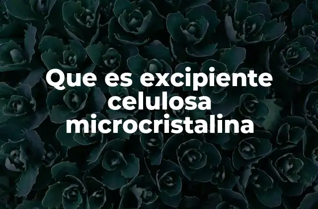 El papel de la celulosa microcristalina en la industria farmacéutica