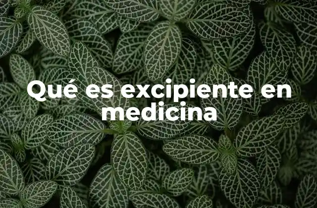 Qué es Excipiente en Medicina