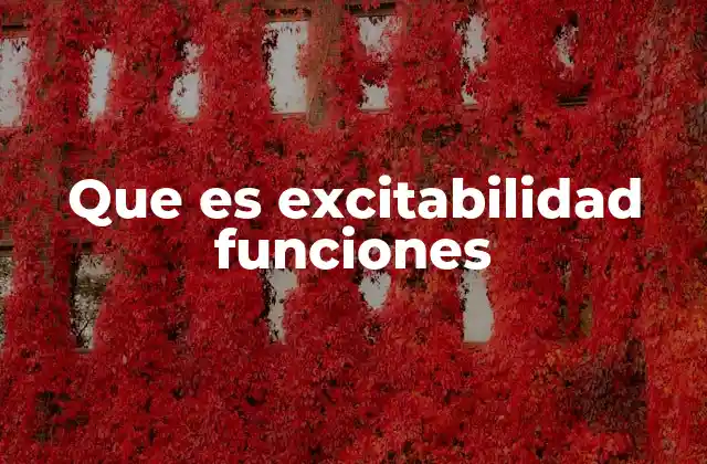 Que es Excitabilidad Funciones