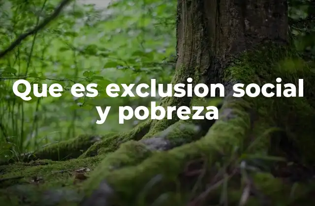 Que es Exclusion Social y Pobreza