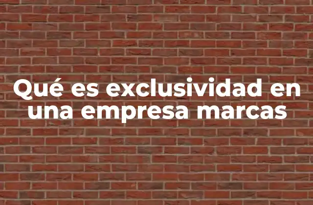 Qué es Exclusividad en una Empresa Marcas