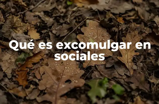 La exclusión social en el entorno digital