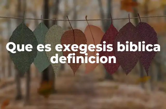 Que es Exegesis Biblica Definicion
