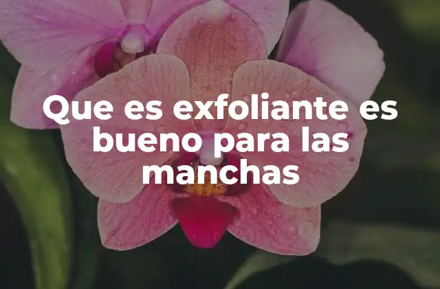 Que es Exfoliante es Bueno para las Manchas