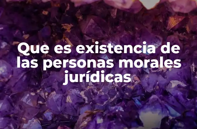 Que es Existencia de las Personas Morales Jurídicas 2 La base legal de las personas morales jurídicas