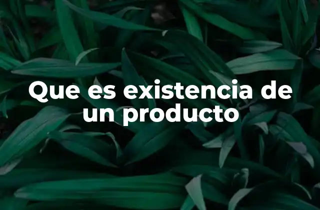 Que es Existencia de un Producto