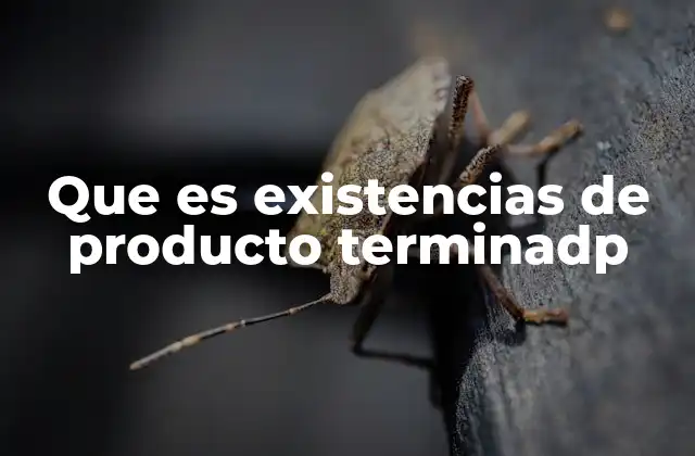 Que es Existencias de Producto Terminadp