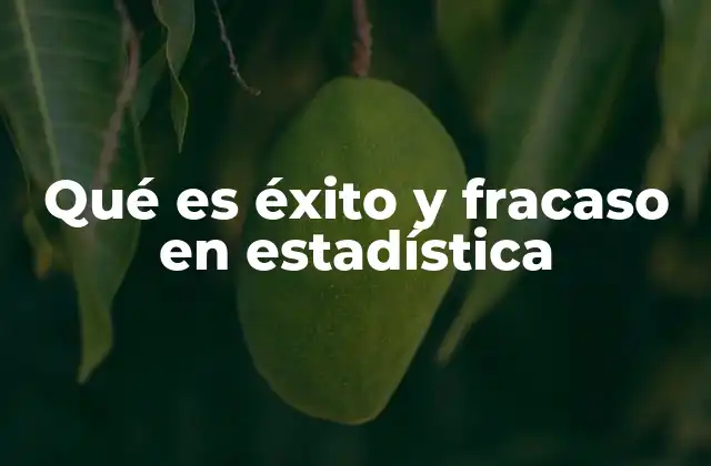 Qué es Éxito y Fracaso en Estadística