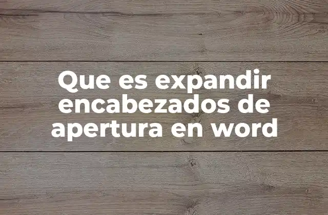 Que es Expandir Encabezados de Apertura en Word