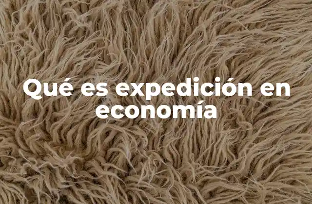 Qué es Expedición en Economía