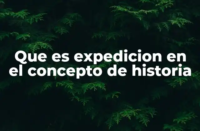 Que es Expedicion en el Concepto de Historia