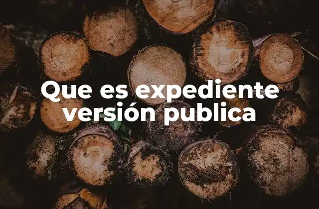 Que es Expediente Versión Publica