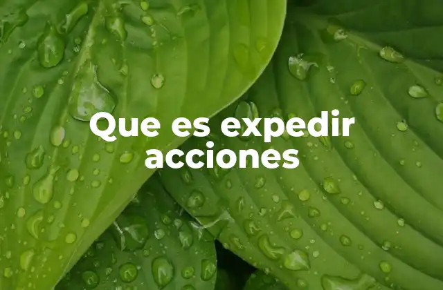 Que es Expedir Acciones