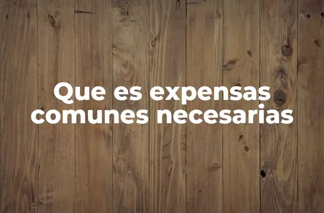 Que es Expensas Comunes Necesarias