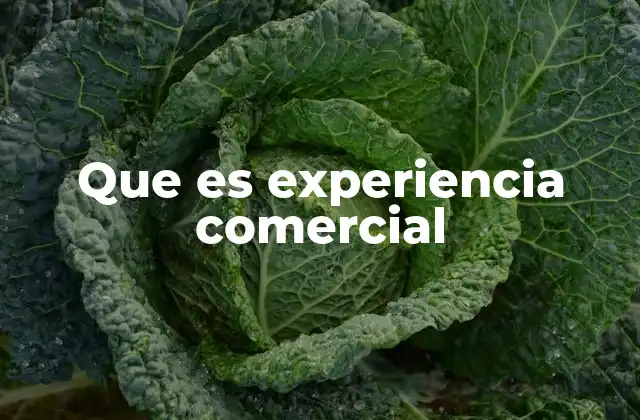 Que es Experiencia Comercial