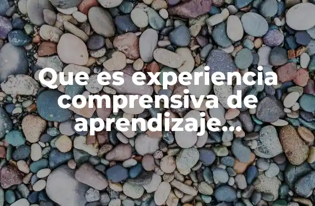 Que es Experiencia Comprensiva de Aprendizaje Administracion