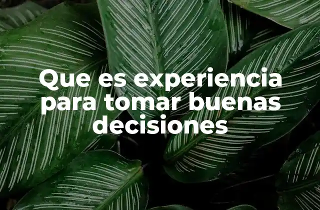 Que es Experiencia para Tomar Buenas Decisiones 2 Cómo la experiencia influye en la calidad de las decisiones