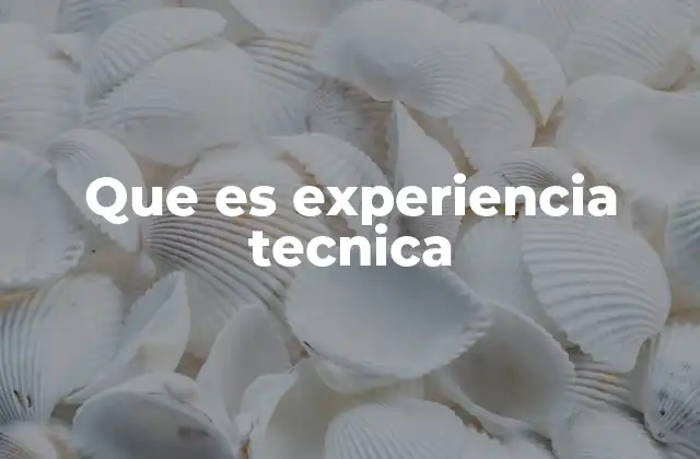 Que es Experiencia Tecnica