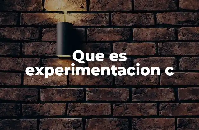 Que es Experimentacion C