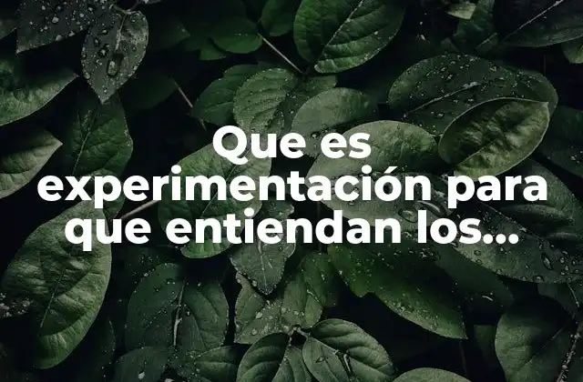 Que es Experimentación para que Entiendan los Niños