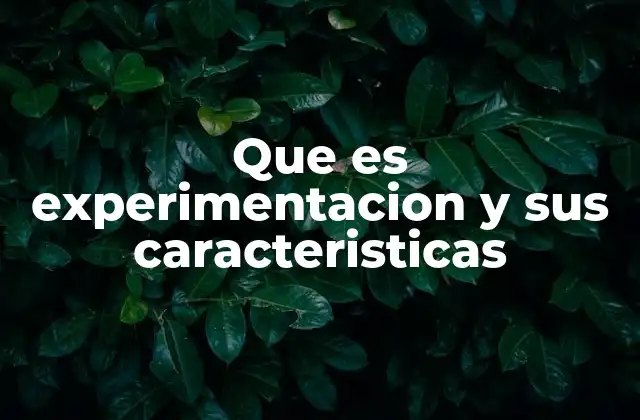 Que es Experimentacion y Sus Caracteristicas