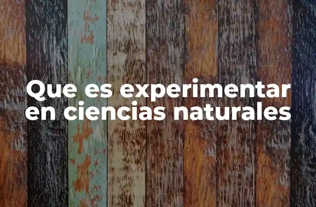 Que es Experimentar en Ciencias Naturales 2 La importancia del método científico en la experimentación