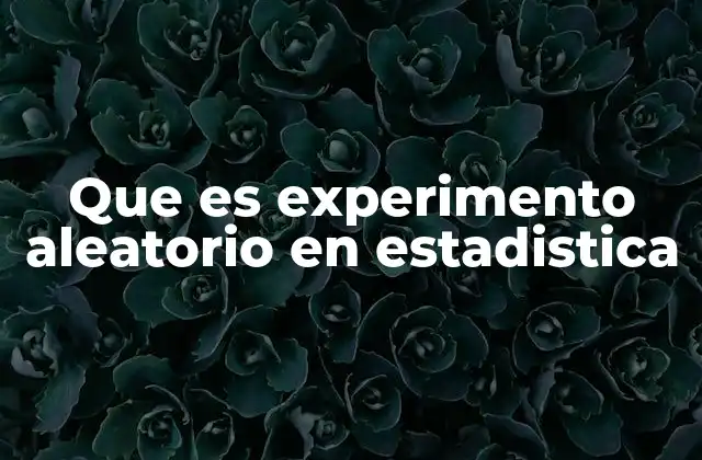 Que es Experimento Aleatorio en Estadistica