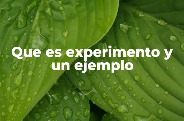 Que es Experimento y un Ejemplo