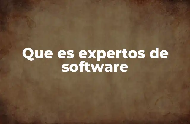 Que es Expertos de Software