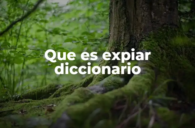 Que es Expiar Diccionario