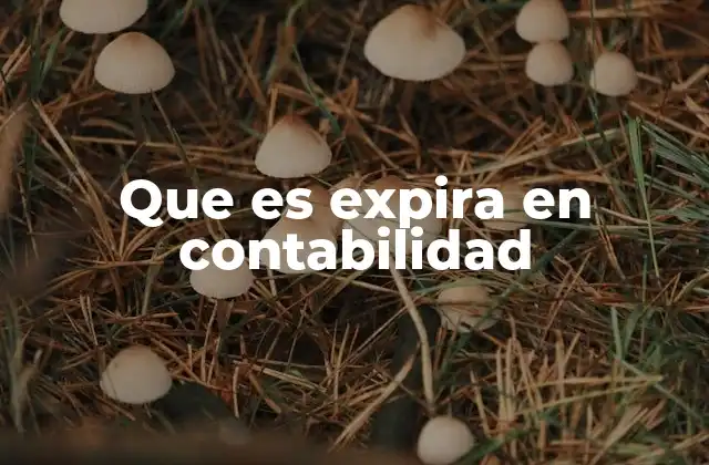 Que es Expira en Contabilidad