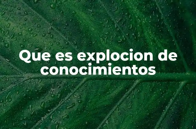 Que es Explocion de Conocimientos