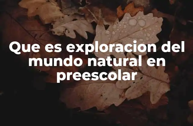 Que es Exploracion Del Mundo Natural en Preescolar
