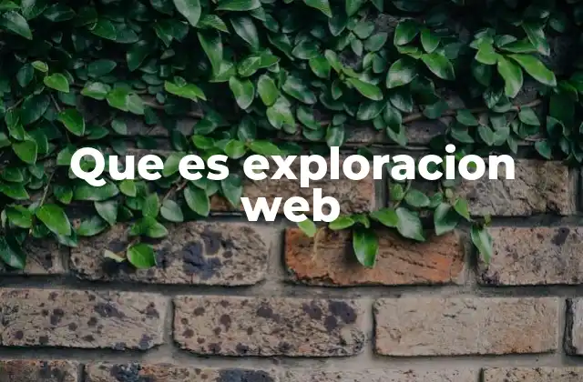 Que es Exploracion Web