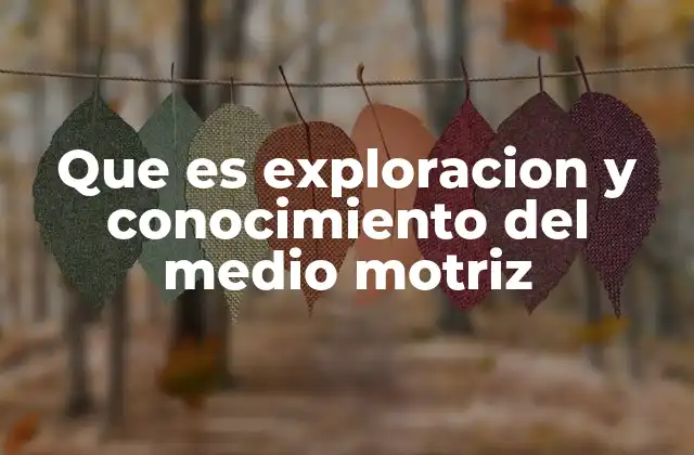 Que es Exploracion y Conocimiento Del Medio Motriz