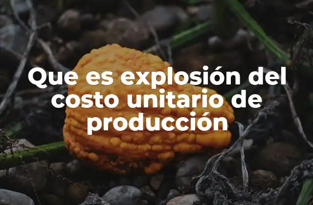 Que es Explosión Del Costo Unitario de Producción