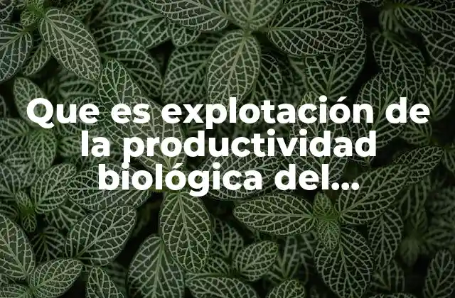 El equilibrio entre aprovechamiento y conservación ecológica