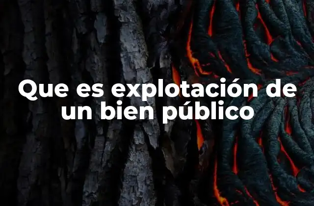 Que es Explotación de un Bien Público