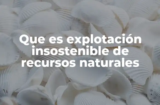 Que es Explotación Insostenible de Recursos Naturales