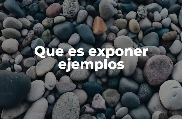Que es Exponer Ejemplos