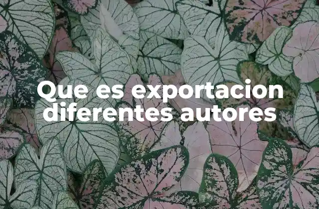 Que es Exportacion Diferentes Autores