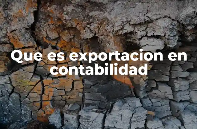 Que es Exportacion en Contabilidad