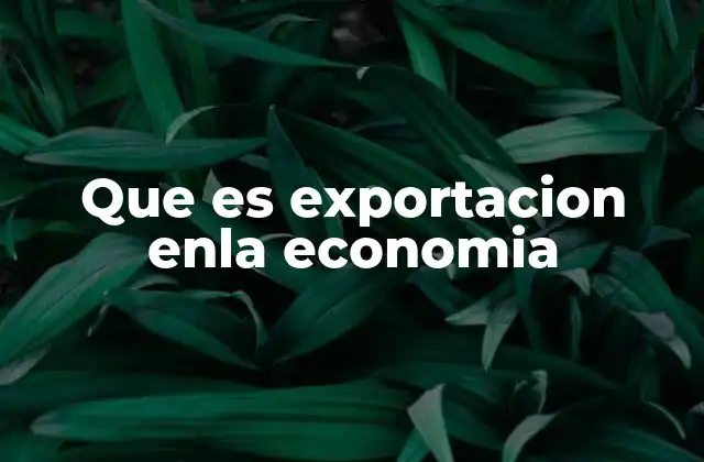Que es Exportacion Enla Economia