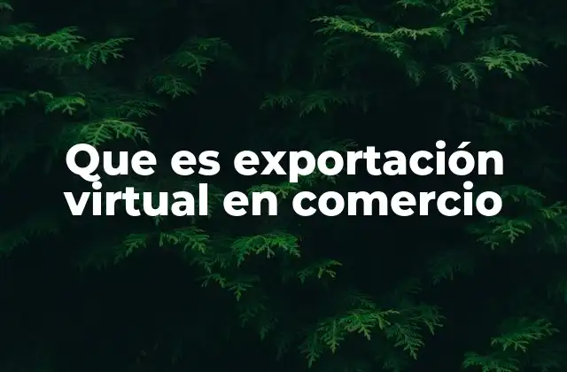 Que es Exportación Virtual en Comercio