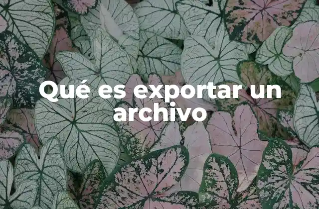 Qué es Exportar un Archivo 2 Cómo funciona el proceso de exportar