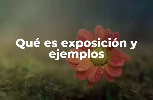 Qué es Exposición y Ejemplos