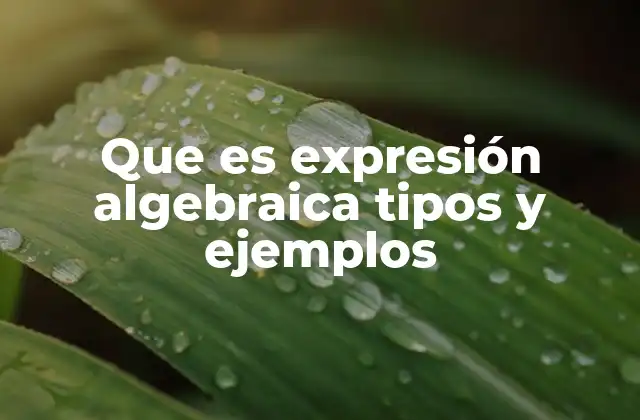 Que es Expresión Algebraica Tipos y Ejemplos