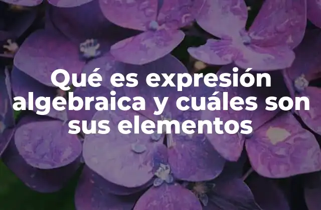 Qué es Expresión Algebraica y Cuáles Son Sus Elementos