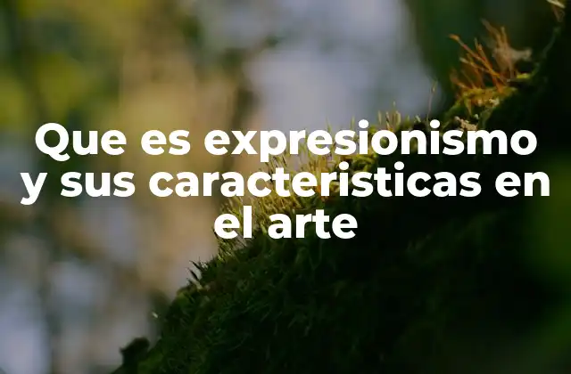 Que es Expresionismo y Sus Caracteristicas en el Arte