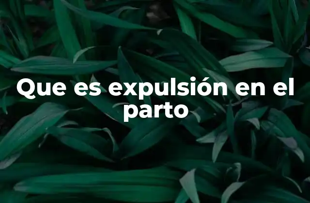 Que es Expulsión en el Parto
